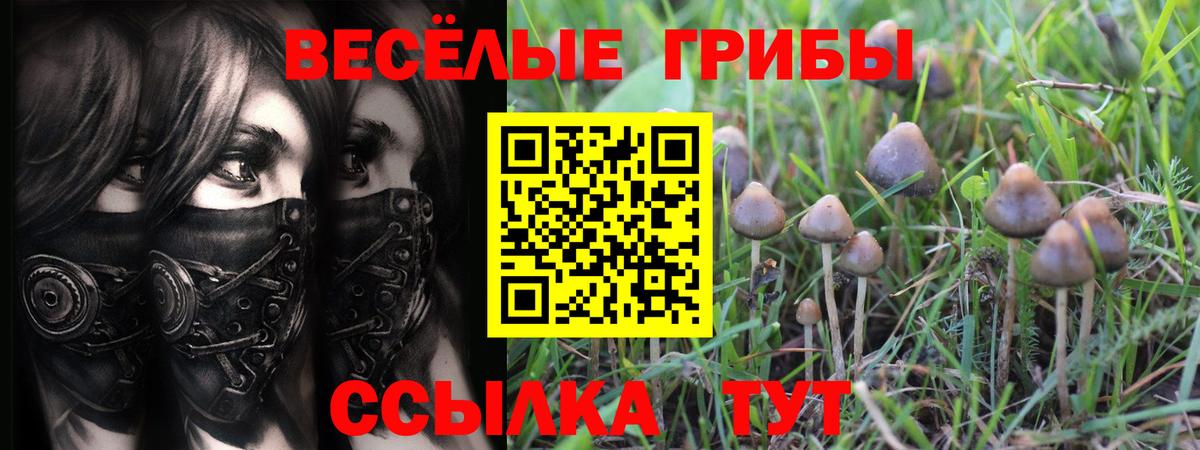 Галлюциногенные грибы GOLDEN TEACHER  Вход с VPN  Сибай 